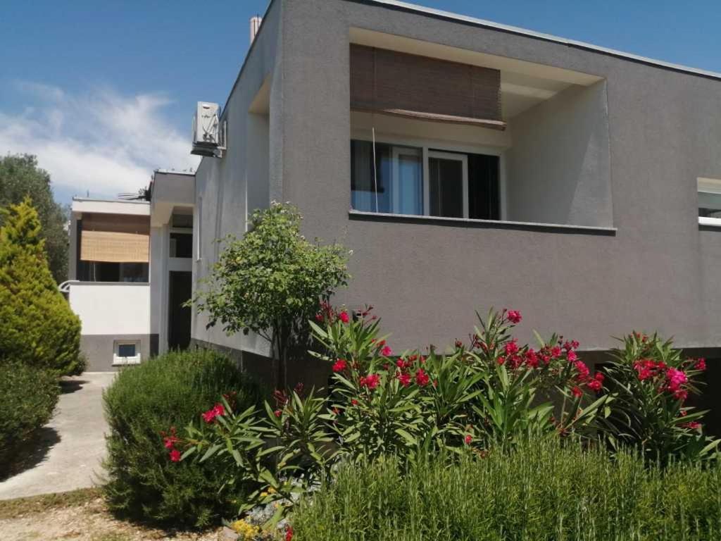 Apartmán Dora 2